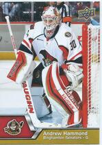 2014 Upper Deck AHL #100 Andrew Hammond