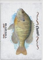 2015 Upper Deck Champs Fish #F-10 Bluegill