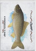 2015 Upper Deck Champs Fish #F-13 Common Carp