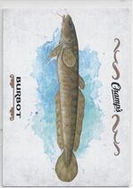 2015 Upper Deck Champs Fish #F-15 Burbot