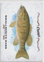2015 Upper Deck Champs Fish #F-24 Smallmouth Bass