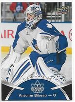 2015 Upper Deck AHL #25 Antoine Bibeau