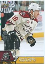 2014 Upper Deck AHL #77 Yannick Veilleux