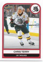 2023 Upper Deck AHL #16 Chris Terry