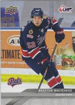 2024 Upper Deck CHL #281 Braxton Whitehead