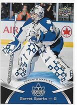 2015 Upper Deck AHL #64 Garret Sparks