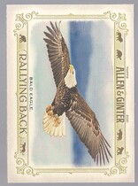 2021 Topps Allen & Ginter Rallying Back #RB-3 Bald Eagle
