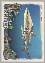2021 Topps Allen & Ginter Deep Sea Shiver #DSS-7 Lemon Shark