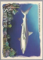 2021 Topps Allen & Ginter Deep Sea Shiver #DSS-13 Caribbean Reef Shark