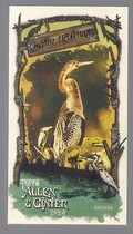 2024 Topps Allen & Ginter Mini Swamp Creatures #SC-10 Anhinga