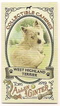 2019 Topps Allen & Ginter Mini Collectible Canines #CC-23 West Highland Terrier