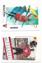 1991 SkyBox Base Set #39 Michael Jordan
