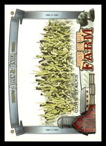 2020 Topps Allen & Ginter Down on the Farm #DF-CS Corn Stalks