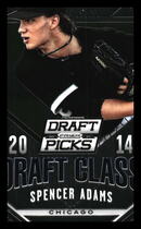 2014 Panini Prizm Perennial Draft Picks #42 Kevin Mcavoy