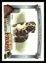 2020 Topps Allen & Ginter Down on the Farm #DF-D Dog