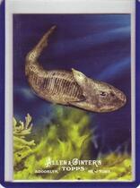 2011 Topps Allen and Ginter Ascent of Man #AOM8 Ostracoderms