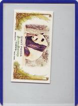 2011 Topps Allen and Ginter Mini Animals in Peril #AP11 Giant Panda