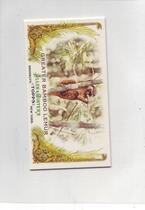 2011 Topps Allen and Ginter Mini Animals in Peril #AP28 Greater Bamboo Lemur