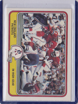 1981 Fleer Team Action #31 Patroits