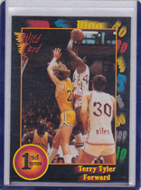 1991 Wild Card Base Set #108 Terry Tyler