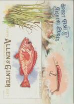 2017 Topps Allen & Ginter Sport Fish and Fishing Lures #SFL-10 Redfish