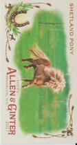 2017 Topps Allen & Ginter Mini Horse in the Race #HR-3 Shetland Pony