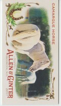 2017 Topps Allen & Ginter Mini Horse in the Race #HR-5 Camargue Horse