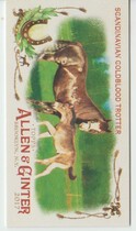 2017 Topps Allen & Ginter Mini Horse in the Race #HR-18 Scandinavian Coldblood Trotter