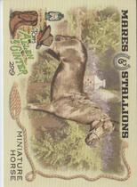 2019 Topps Allen & Ginter Mares and Stallions #MS-8 Miniature Horse