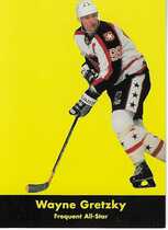 1991 Parkhurst Base Set #222 Wayne Gretzky