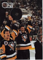1991 Pro Set French #318 Mario Lemieux