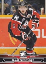 2014 ITG Draft Prospects #38 Blake Siebenaler