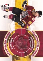 2008 ITG Heroes and Prospects Calder Cup Winners #2 Darren Haydar