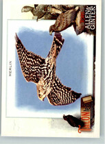 2023 Topps Allen & Ginter TALON-ted #TT-10 Merlin