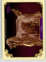 2024 Topps Allen & Ginter Stars Of The Show The Westminster Kennel Club #SOS-26 Louis