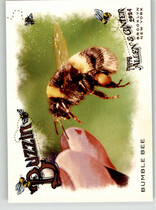 2024 Topps Allen & Ginter Buzzin #BUZ-3 Bumble Bee