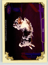 2024 Topps Allen & Ginter Stars Of The Show The Westminster Kennel Club #SOS-3 Bee