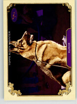 2024 Topps Allen & Ginter Stars Of The Show The Westminster Kennel Club #SOS-16 Rumor