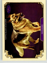 2024 Topps Allen & Ginter Stars Of The Show The Westminster Kennel Club #SOS-25 Mercedes