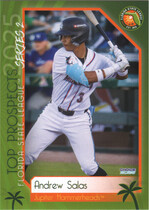 2025 Choice Florida State League Top Prospects Series 2 #14 Andrew Salas