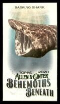 2020 Topps Allen & Ginter Mini Behemoths Beneath #MGB-14 Basking Shark