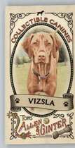 2019 Topps Allen & Ginter Mini Collectible Canines #CC-3 Vizsla