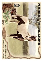 2019 Topps Allen & Ginter Mares and Stallions #MS-6 American Paint Horse