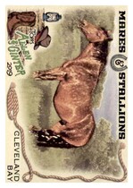 2019 Topps Allen & Ginter Mares and Stallions #MS-12 Cleveland Bay Horse