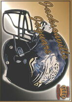 1995 Pacific Prisms Team Helmets #14 Jacksonville Jaguar