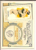 2012 Topps Allen and Ginter Whats in a Name #WIN83 Mark Charles Teixeira