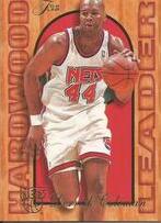 1995 Flair Hardwood Leaders #17 Derrick Coleman