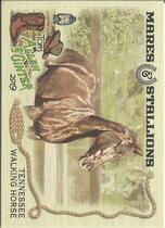 2019 Topps Allen & Ginter Mares and Stallions #MS-4 Tennessee Walking Horse