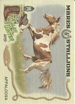 2019 Topps Allen & Ginter Mares and Stallions #MS-7 Appaloosa