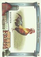 2020 Topps Allen & Ginter Down on the Farm #DF-R Rooster